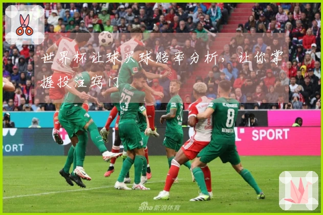世界杯让球买球赔率分析，让你掌握投注窍门