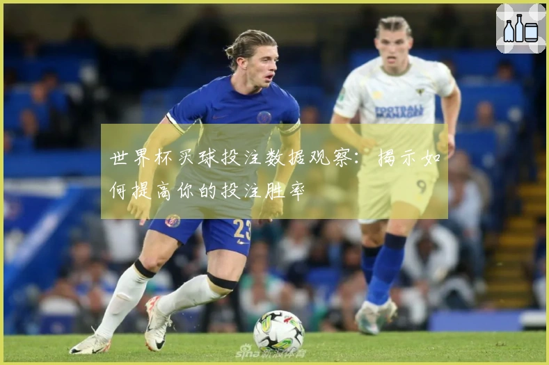 世界杯买球投注数据观察：揭示如何提高你的投注胜率