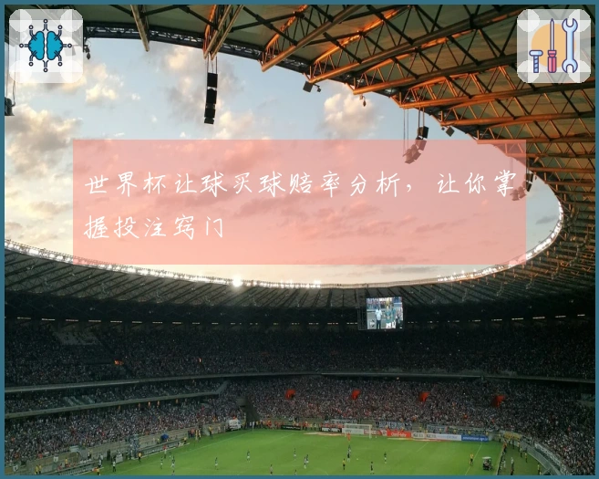 世界杯让球买球赔率分析，让你掌握投注窍门