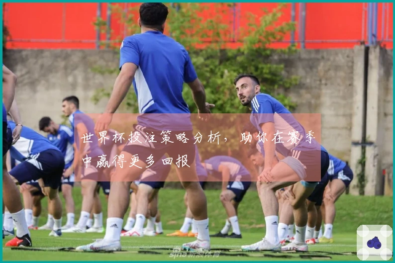 世界杯投注策略分析，助你在赛季中赢得更多回报