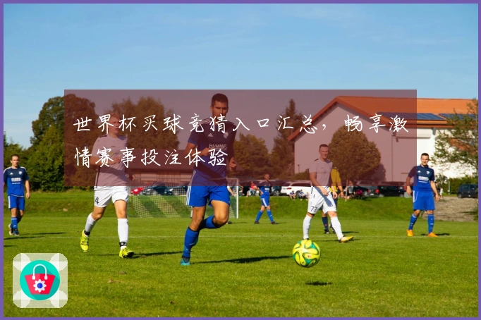 世界杯买球竞猜入口汇总，畅享激情赛事投注体验