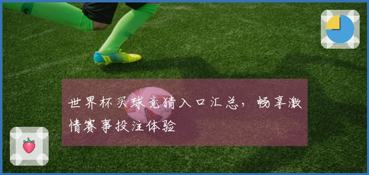 世界杯买球竞猜入口汇总，畅享激情赛事投注体验