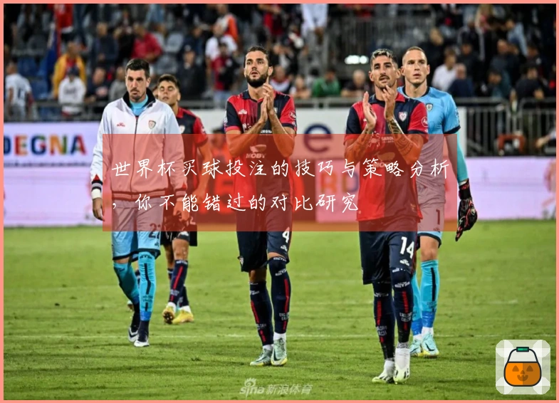 世界杯买球投注的技巧与策略分析，你不能错过的对比研究