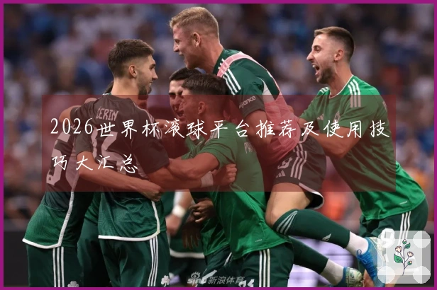 2026世界杯滚球平台推荐及使用技巧大汇总